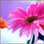mariy123