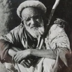 Степалтон