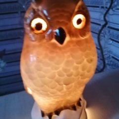 Gegel